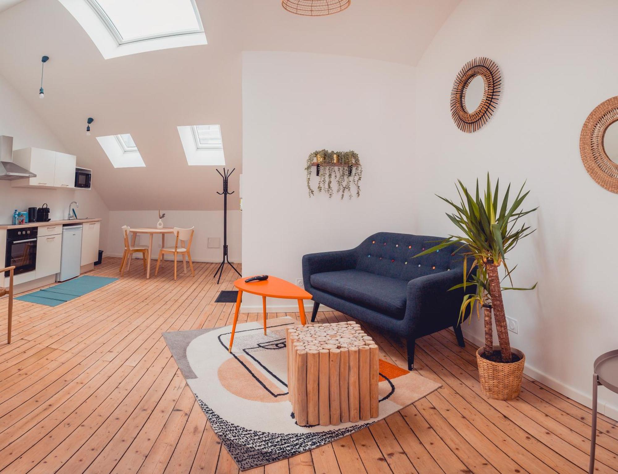 Apartment Loft Lumineux Tres Spacieux - Parking Gratuit